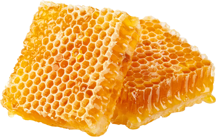 beeswax